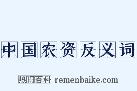 中国农资反义词是什么意思的图片